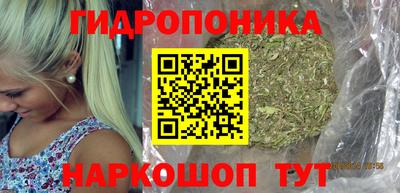 PSILOCYBIN Свободный