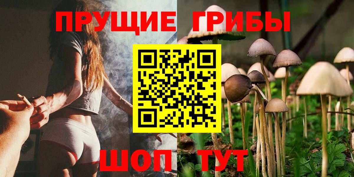 Петрозаводск  Псилоцибиновые грибы мухоморы  Вход с VPN 