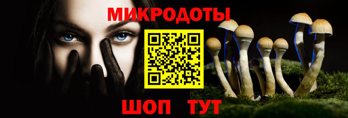Псилоцибиновые грибы мухоморы Петрозаводск